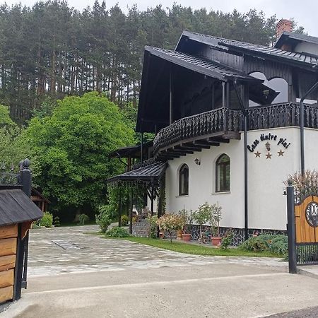 Casa Dintre Pini Βίλα Păltinoasa Εξωτερικό φωτογραφία