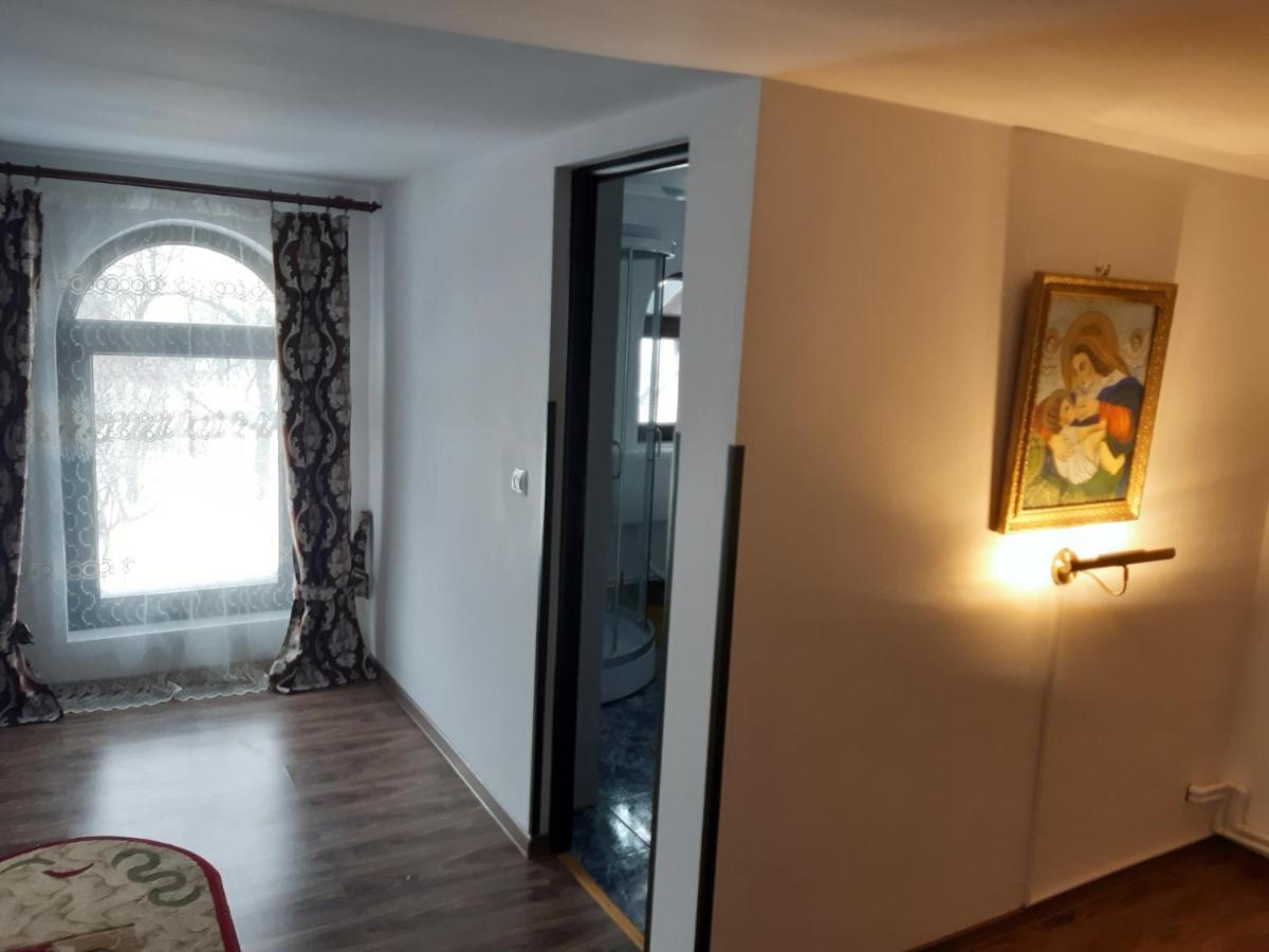 Casa Dintre Pini Βίλα Păltinoasa Εξωτερικό φωτογραφία