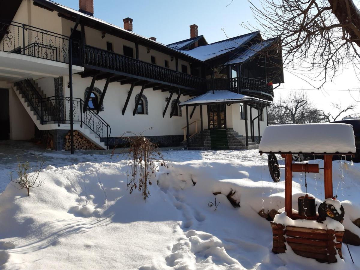 Casa Dintre Pini Βίλα Păltinoasa Εξωτερικό φωτογραφία