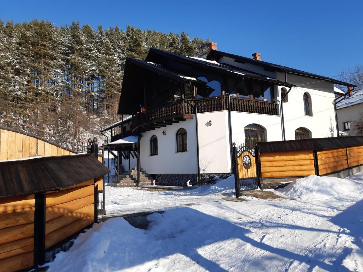 Casa Dintre Pini Βίλα Păltinoasa Εξωτερικό φωτογραφία