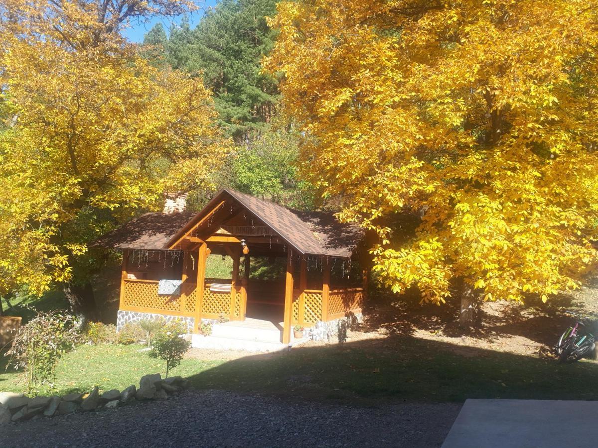 Casa Dintre Pini Βίλα Păltinoasa Εξωτερικό φωτογραφία