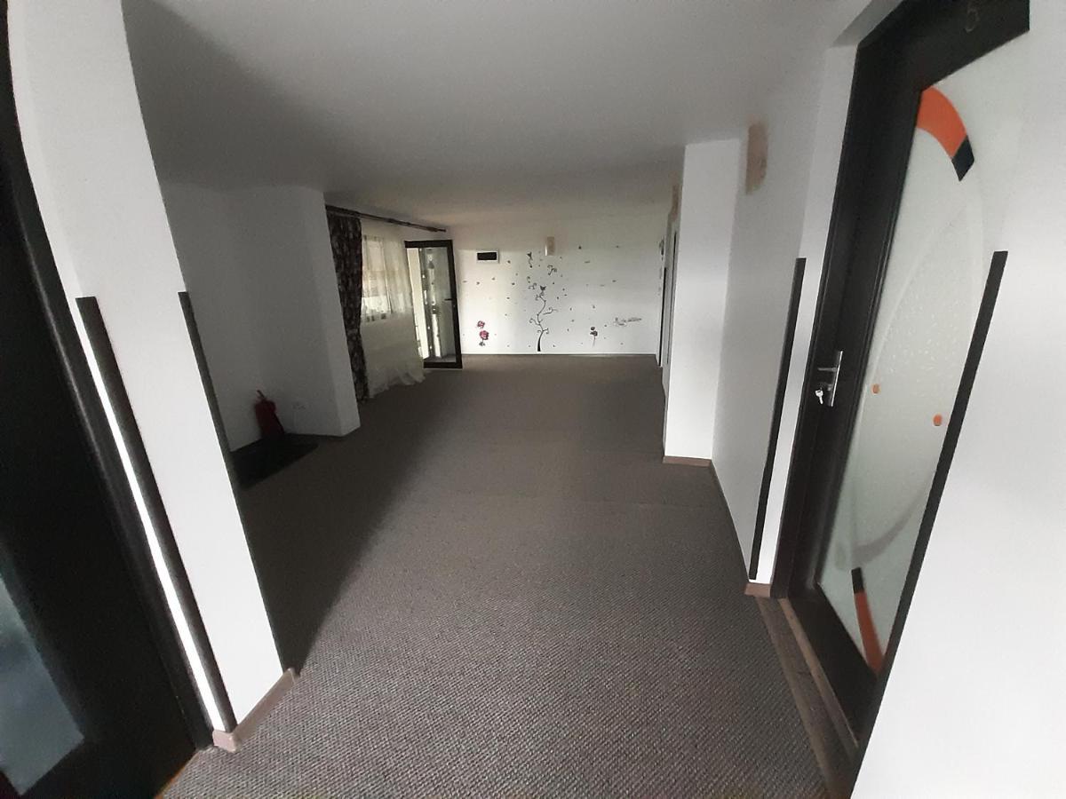 Casa Dintre Pini Βίλα Păltinoasa Εξωτερικό φωτογραφία