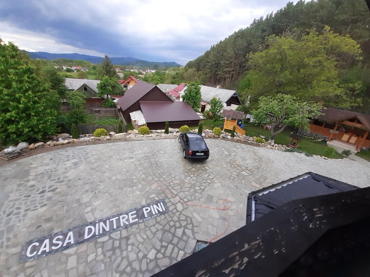 Casa Dintre Pini Βίλα Păltinoasa Εξωτερικό φωτογραφία