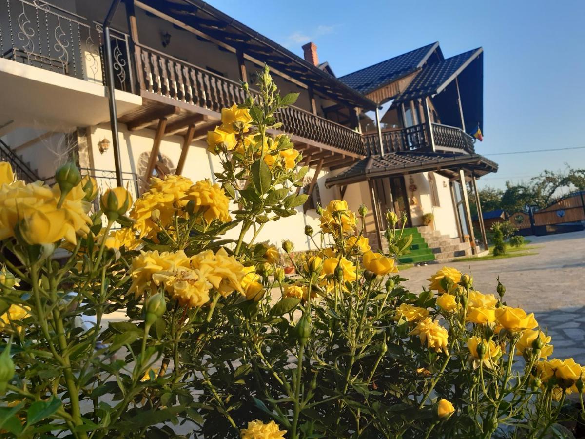 Casa Dintre Pini Βίλα Păltinoasa Εξωτερικό φωτογραφία