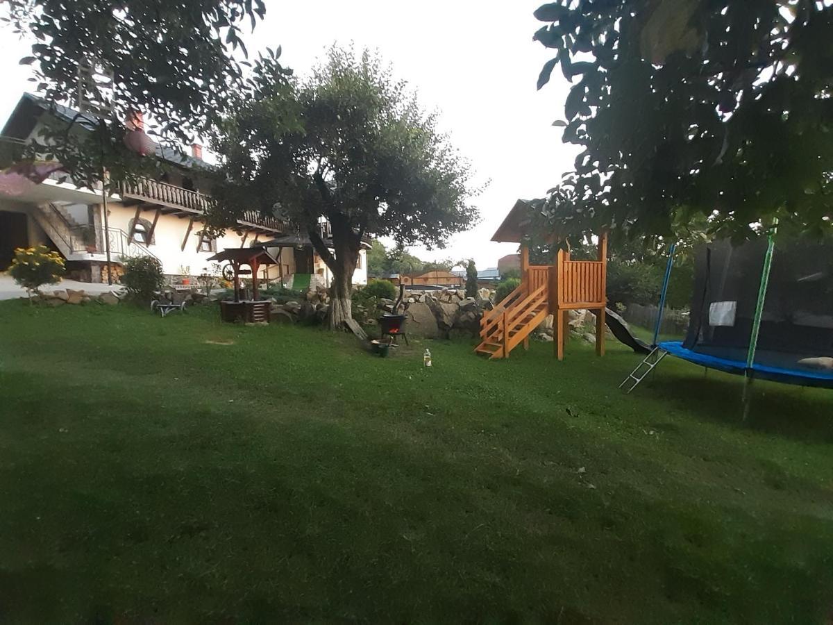 Casa Dintre Pini Βίλα Păltinoasa Εξωτερικό φωτογραφία