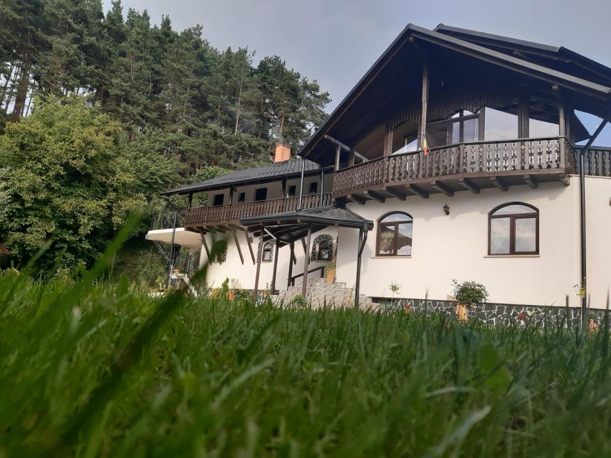 Casa Dintre Pini Βίλα Păltinoasa Εξωτερικό φωτογραφία