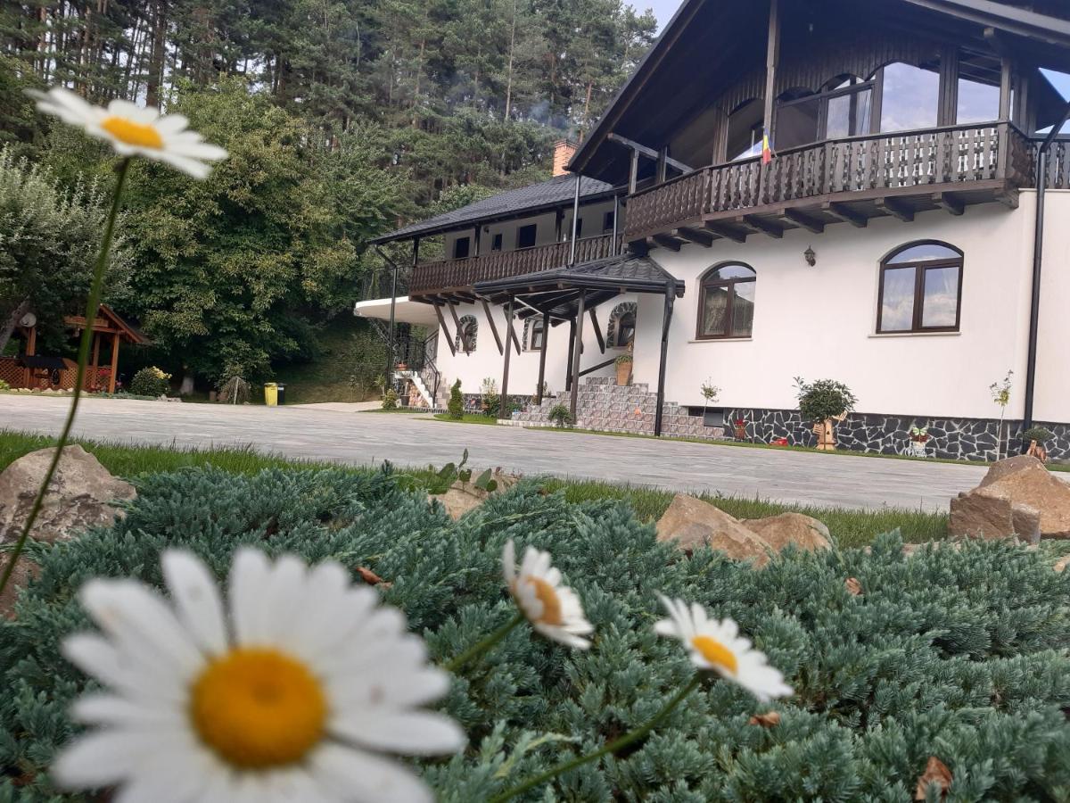 Casa Dintre Pini Βίλα Păltinoasa Εξωτερικό φωτογραφία