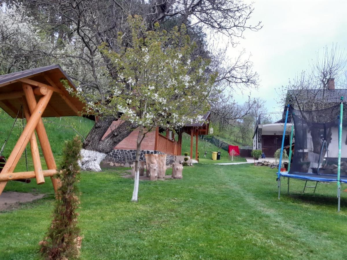 Casa Dintre Pini Βίλα Păltinoasa Εξωτερικό φωτογραφία