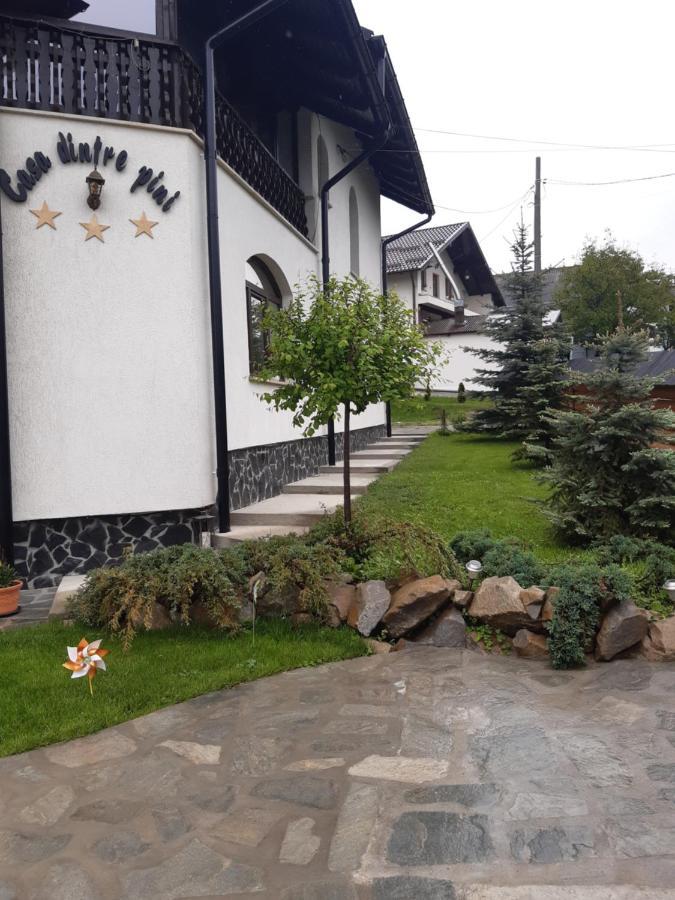 Casa Dintre Pini Βίλα Păltinoasa Εξωτερικό φωτογραφία