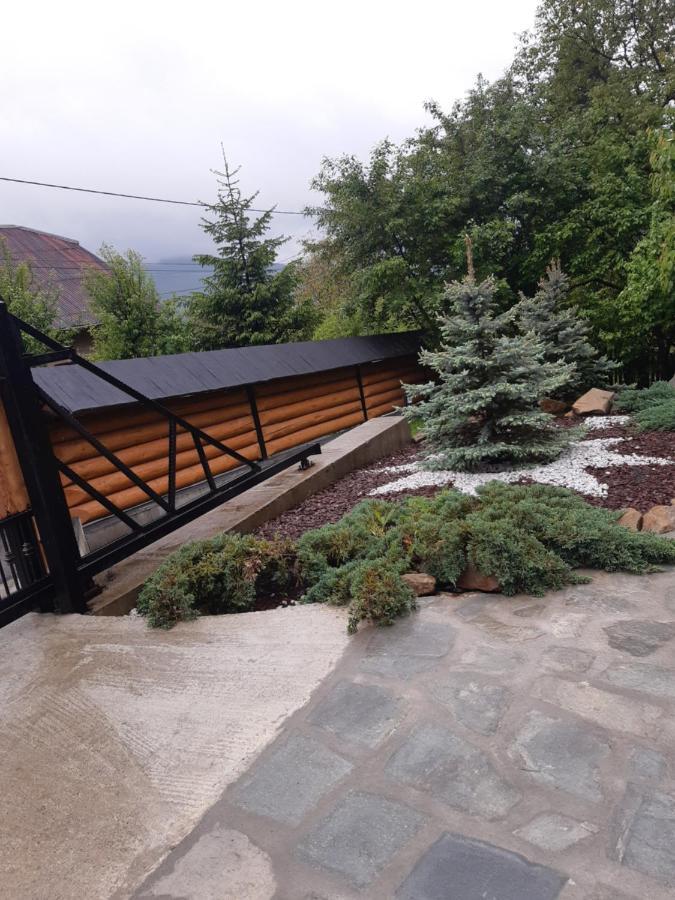 Casa Dintre Pini Βίλα Păltinoasa Εξωτερικό φωτογραφία