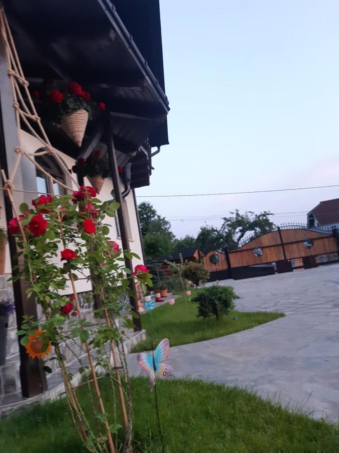 Casa Dintre Pini Βίλα Păltinoasa Εξωτερικό φωτογραφία
