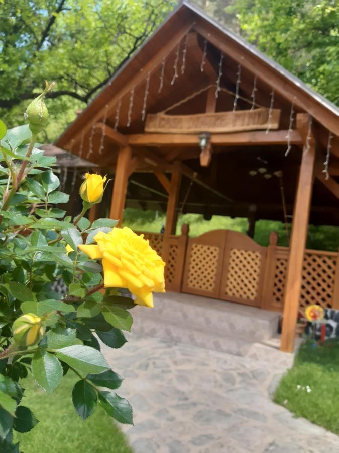 Casa Dintre Pini Βίλα Păltinoasa Εξωτερικό φωτογραφία