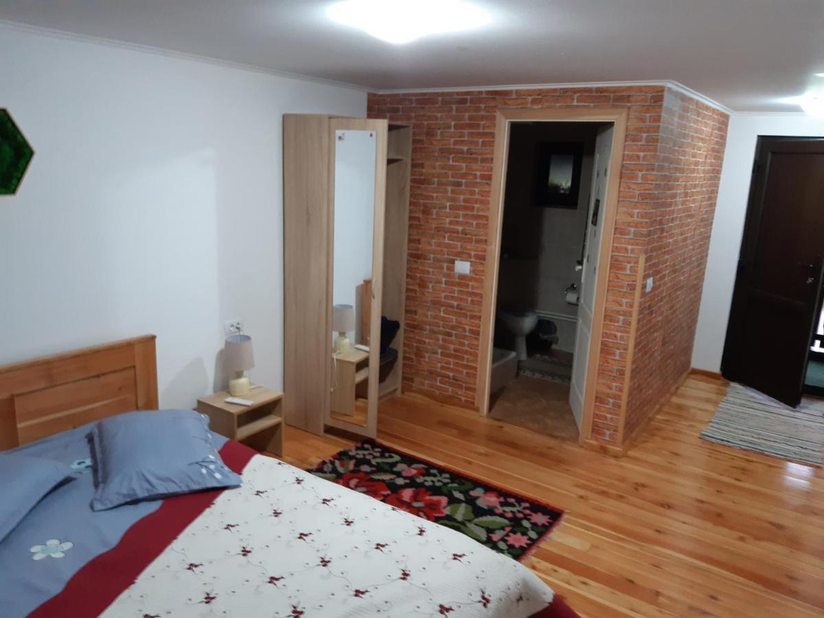 Casa Dintre Pini Βίλα Păltinoasa Εξωτερικό φωτογραφία