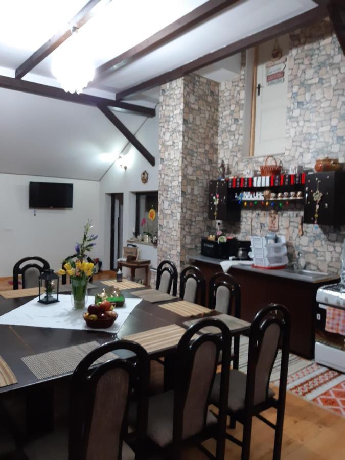Casa Dintre Pini Βίλα Păltinoasa Εξωτερικό φωτογραφία