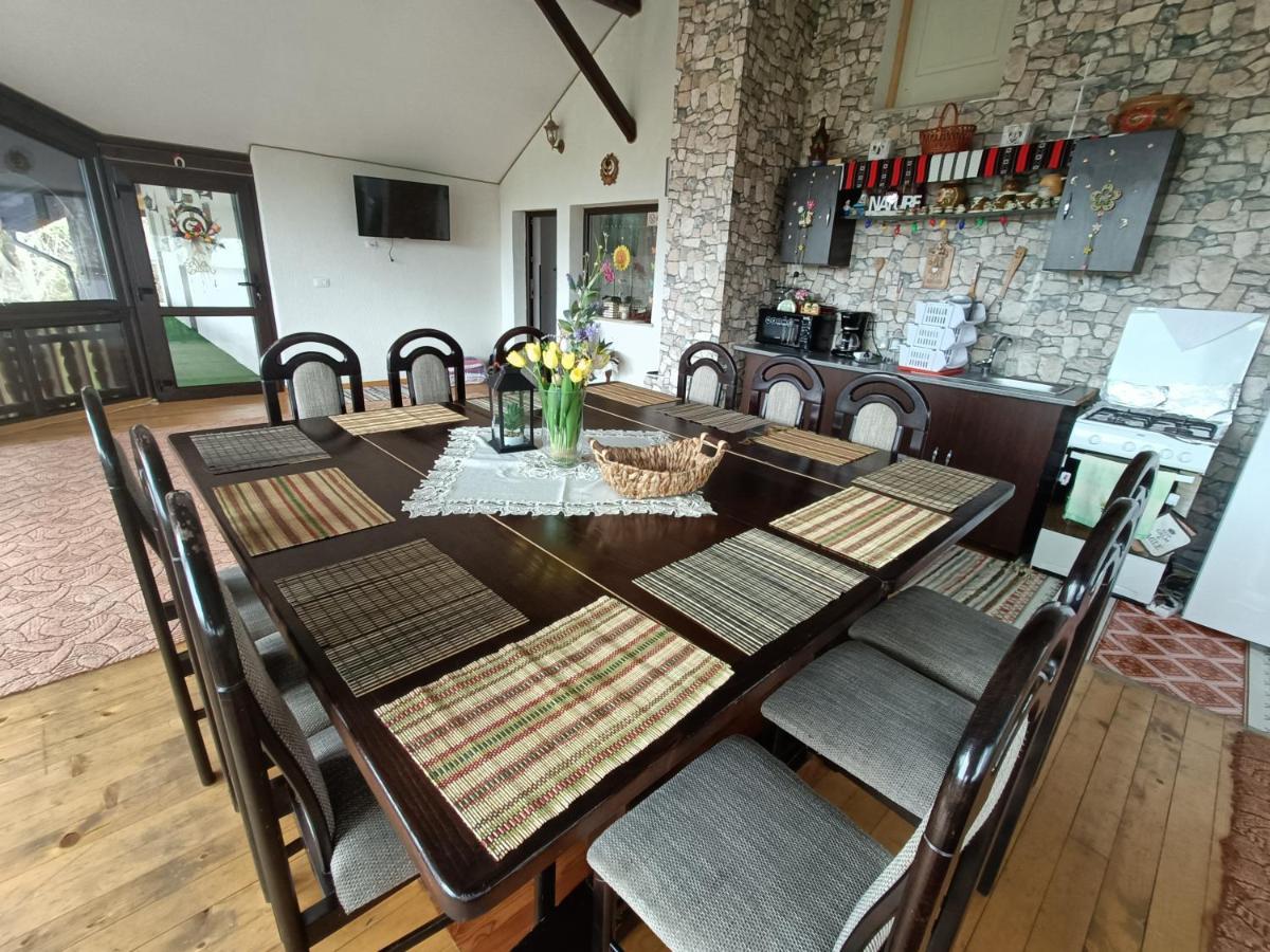 Casa Dintre Pini Βίλα Păltinoasa Εξωτερικό φωτογραφία
