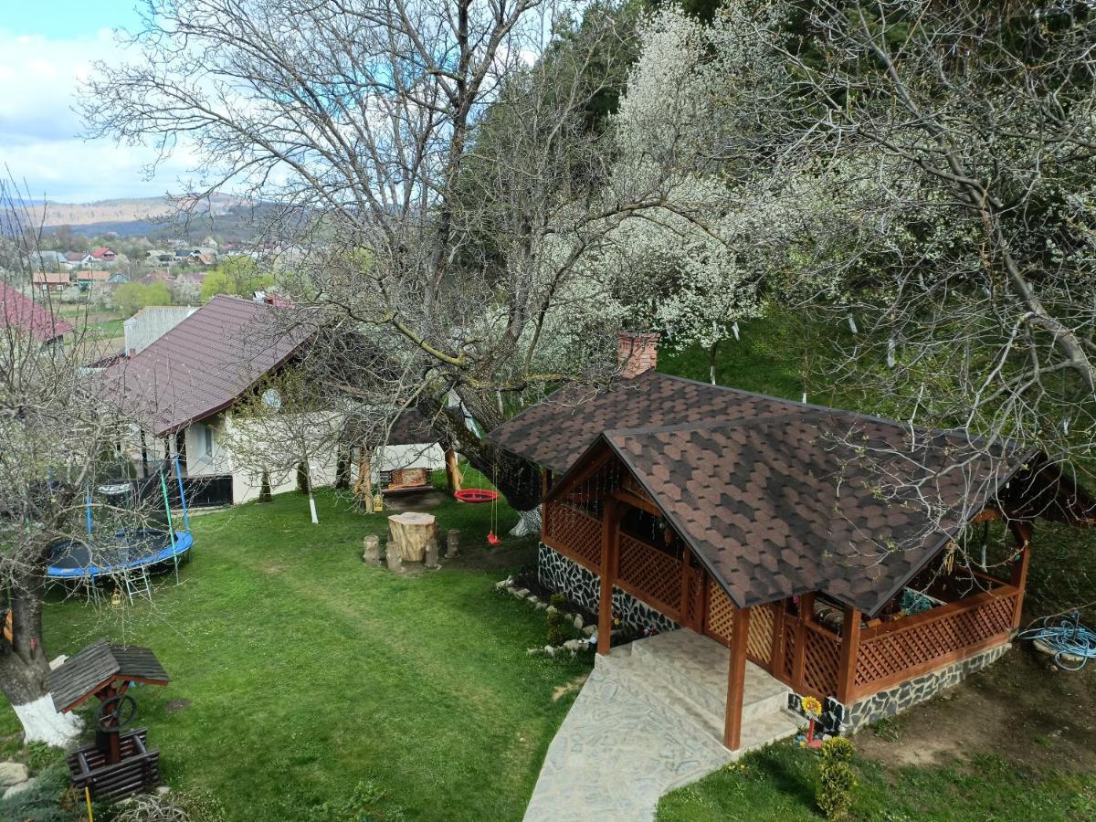 Casa Dintre Pini Βίλα Păltinoasa Εξωτερικό φωτογραφία