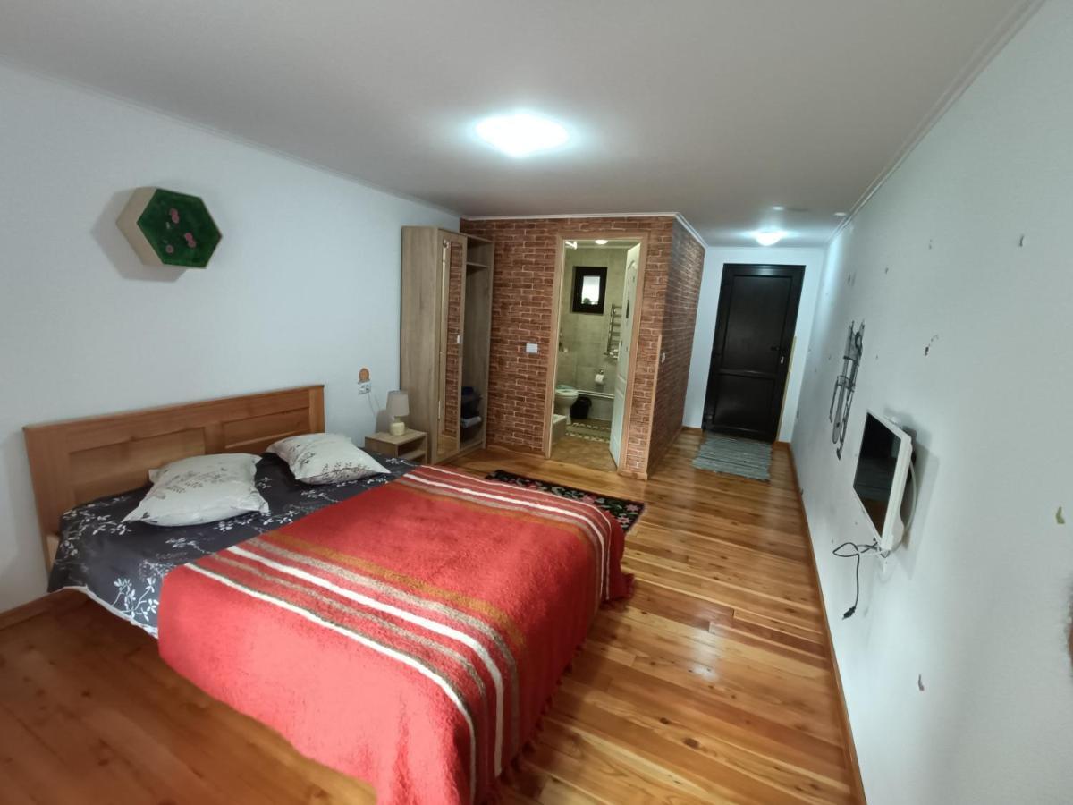 Casa Dintre Pini Βίλα Păltinoasa Εξωτερικό φωτογραφία