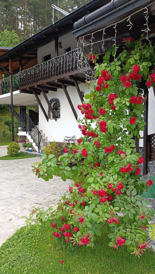 Casa Dintre Pini Βίλα Păltinoasa Εξωτερικό φωτογραφία
