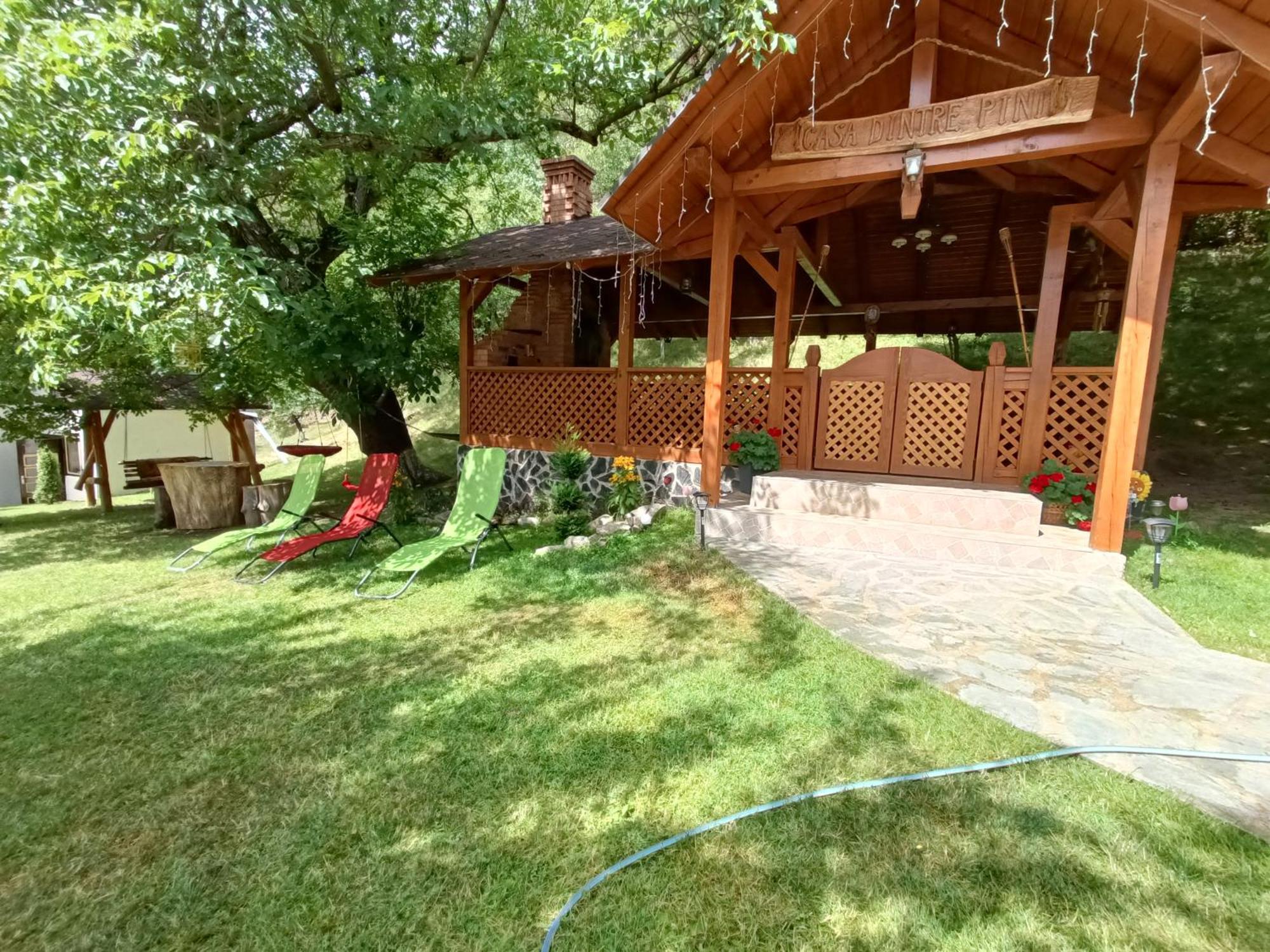 Casa Dintre Pini Βίλα Păltinoasa Εξωτερικό φωτογραφία
